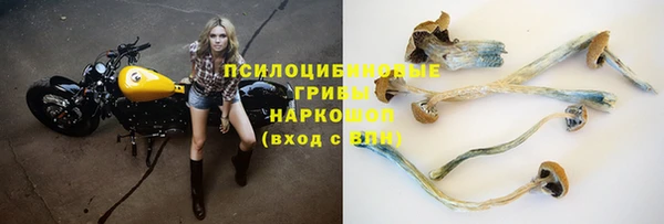 COCAINE Бородино