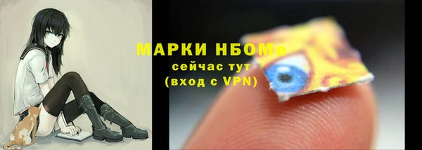 хмурый Кущёвская