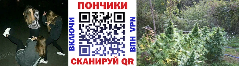 Купить где  Красноуральск  Бошки Шишки AK-47 